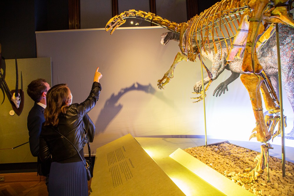 visitors adimiring the  210-million-year-old dinosaur