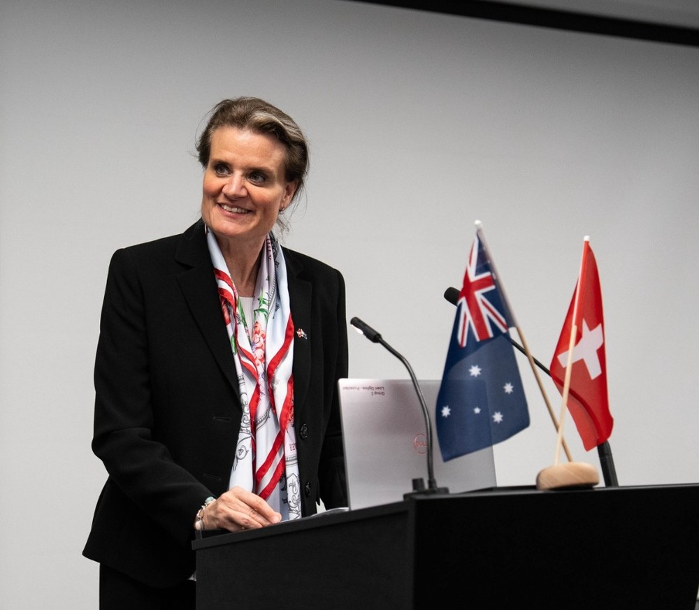 State Secretary Hirayama addressing the floor during the high-level visit