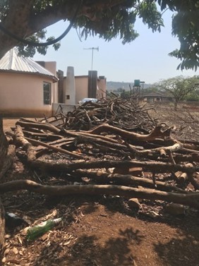 Communities in the Vhembe District Municipality use firewood for cooking, leading to deforestation and respiratory complaints