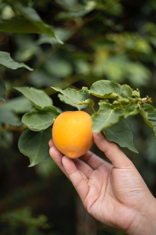 The UN Environment Program estimates that around 17% of total global food production is never consumed. Photo by Bon Vivant on Unsplash